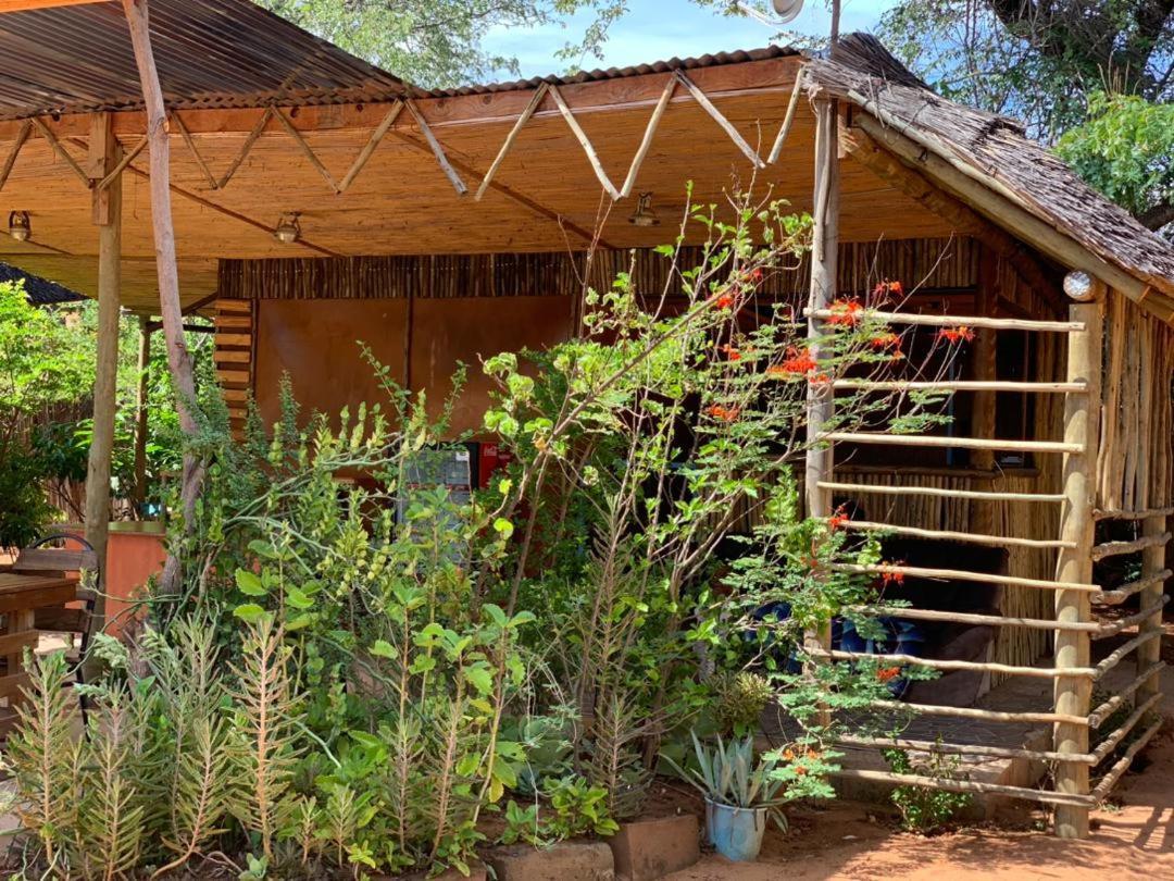 Jungle Breeze Home Stay Kasane Ngoại thất bức ảnh