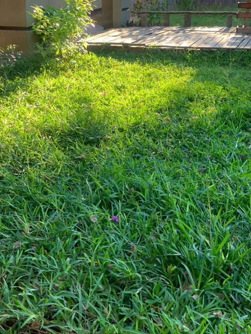 Jungle Breeze Home Stay Kasane Ngoại thất bức ảnh